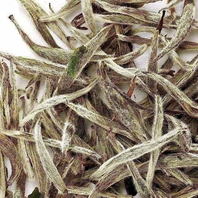 İlkbahar Çayı-Beyaz Çay