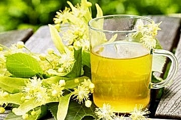 Ihlamur Bitkisi İçin Okuyunuz!